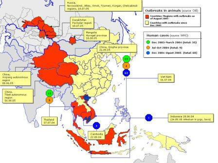 bird flu map